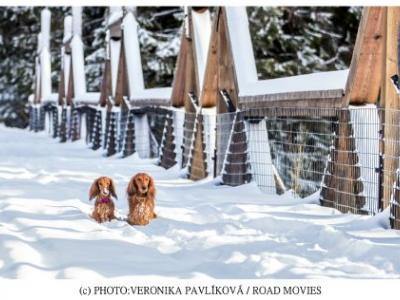 Tady hlídáme my - film plný šumavských lokalit Tady hlídáme my - film plný šumavských lokalit